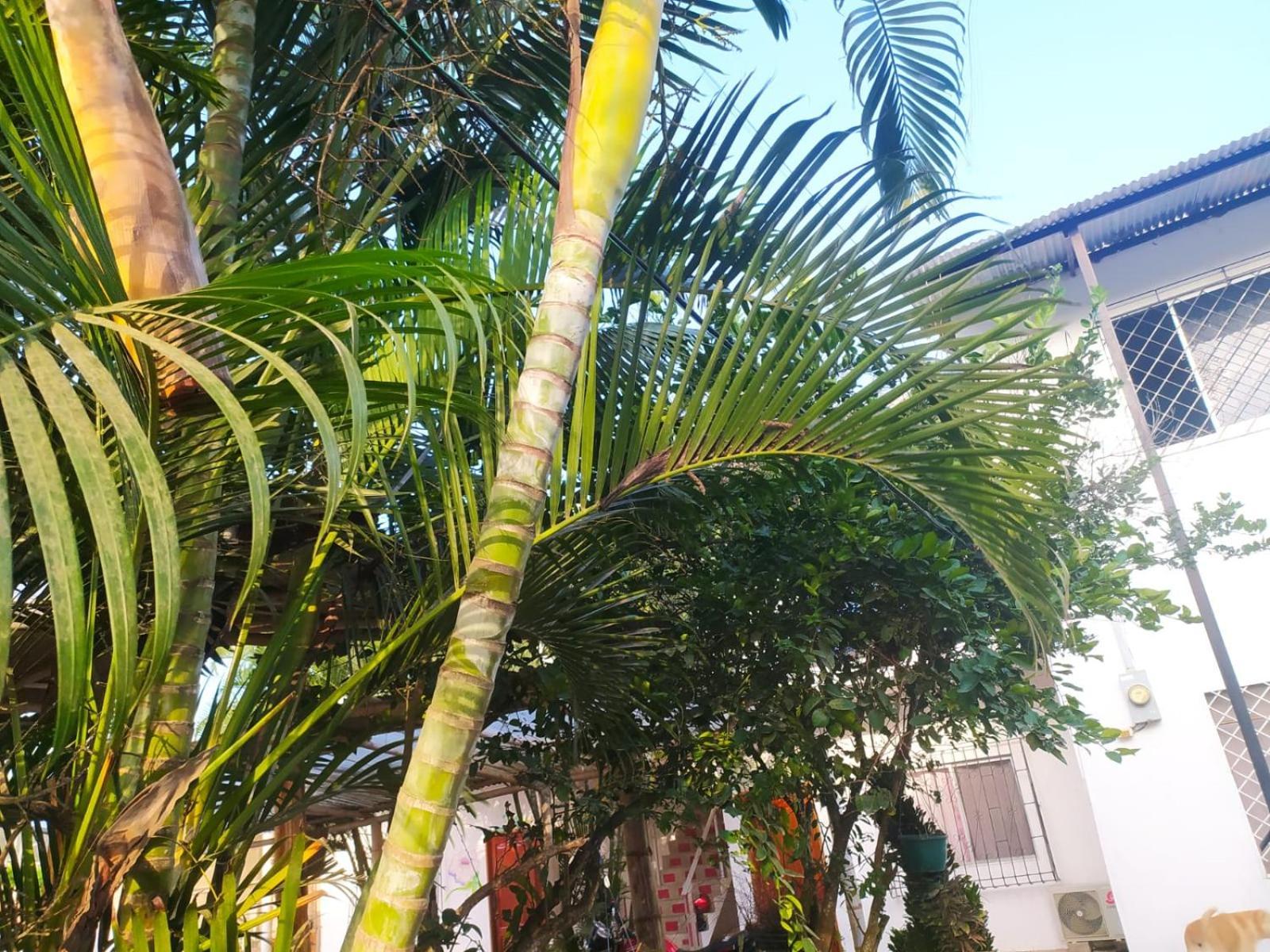 Hosteria Del Puerto Puerto López Kültér fotó